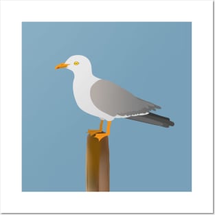 Seagull Posters and Art